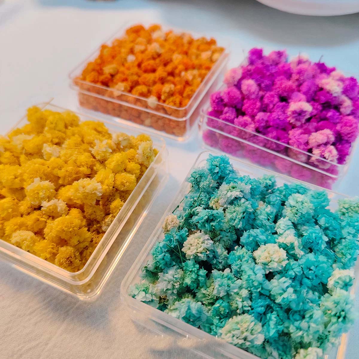 Soap Making Book - DIY手作りキャンドル、石鹸作り、エポキシ樹脂工芸、ジュエリー充填、アートクラフト、家の装飾、写真撮影用小道具となるフラワーヘッド1箱